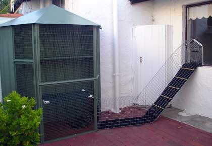 Cat enclosures