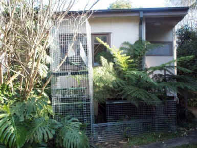 Cat enclosures