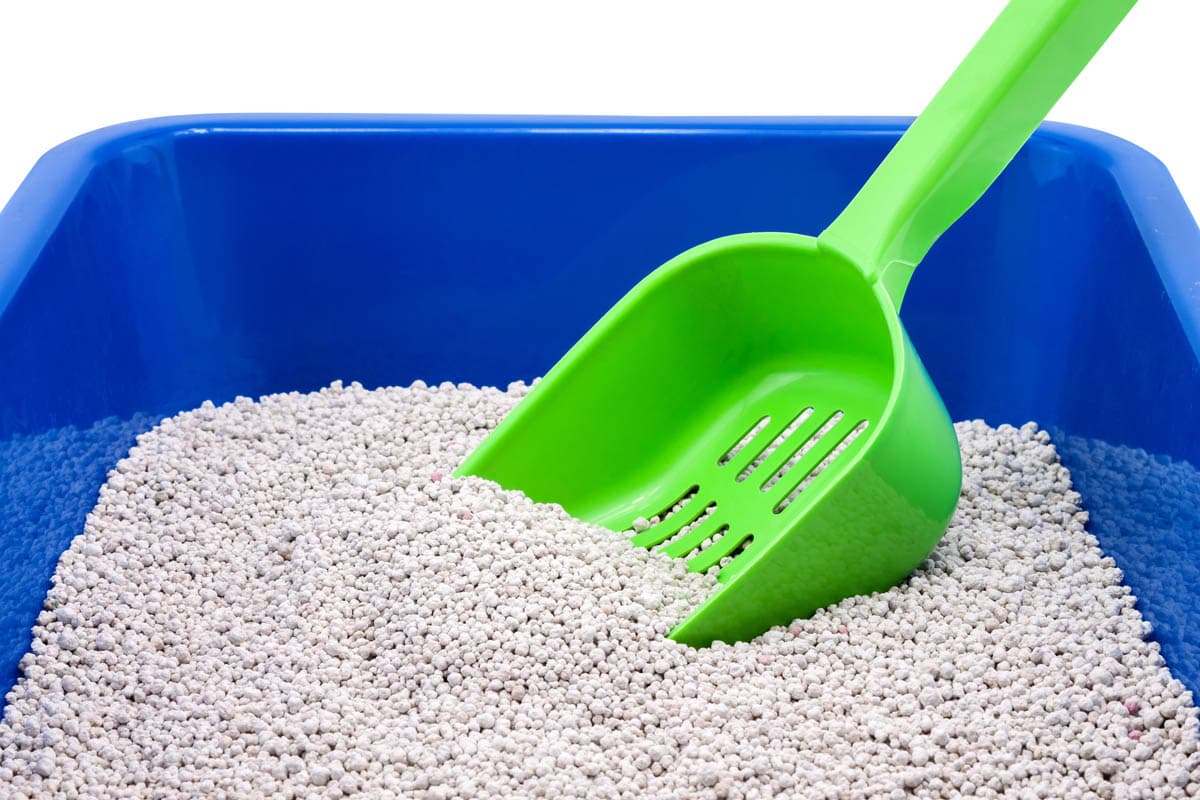 How to clean litter trays