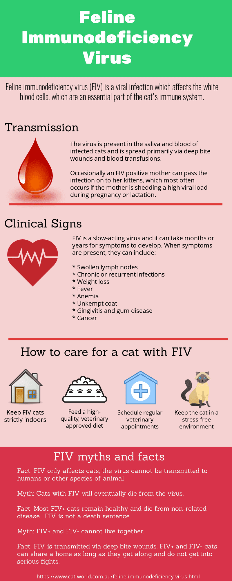 Feline immunodeficiency virus (FIV) in cats infographic