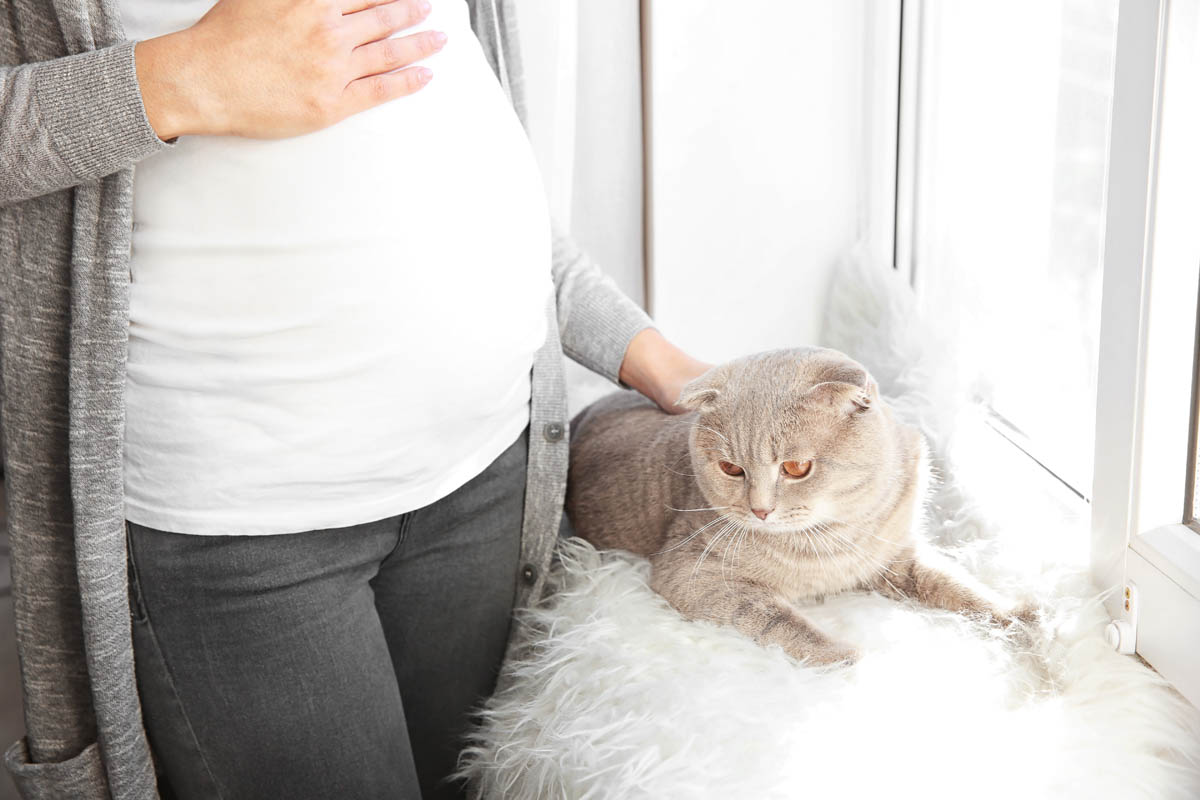 Should a pregnant woman get rid of her cat?