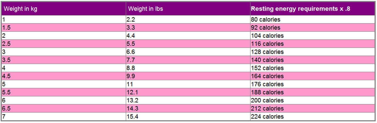 Calorie requirements for weight loss in cats