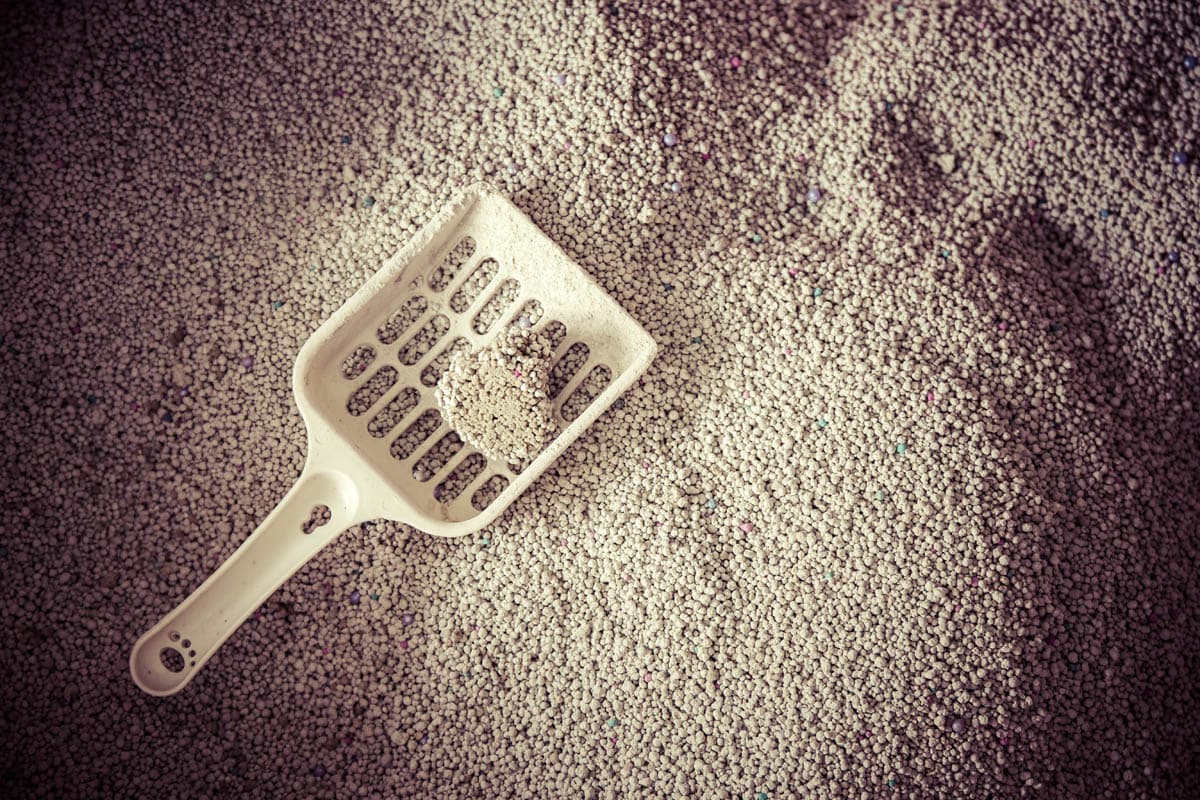 How To Safely Clean Litter Trays