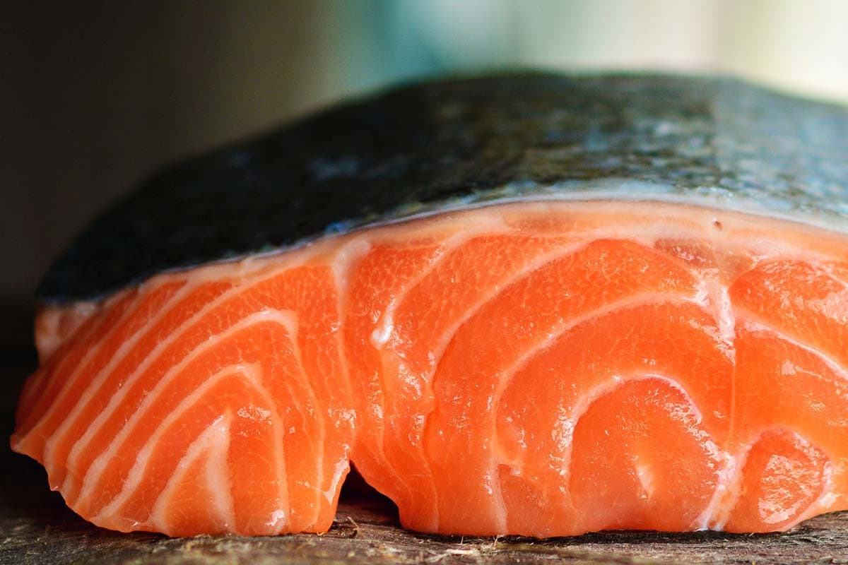 Can cats eat salmon?