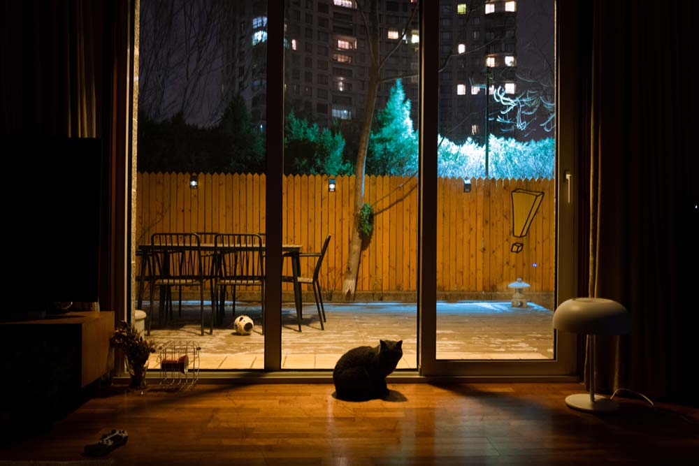 Light On For Your Cat At Night, Are Lamps Safe To Leave On All Night