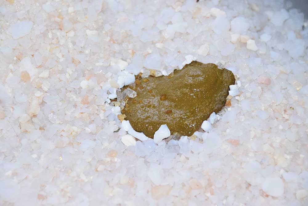 Cat with Diarrhea But Acting Normal What To Do [Vet Advice] CatWorld