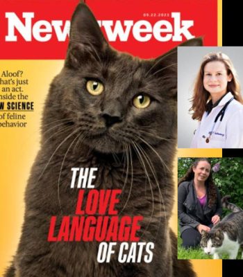 Newsweek Collaborates with 'Cat World' Experts for Series on Cat Health & Behavior